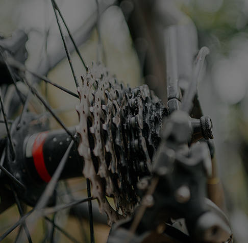 Annual Output of Bicycle Freewheels